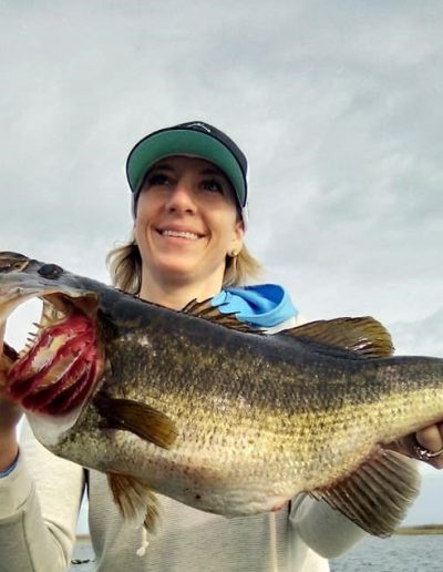 largemouth-bass-and-gills-copy