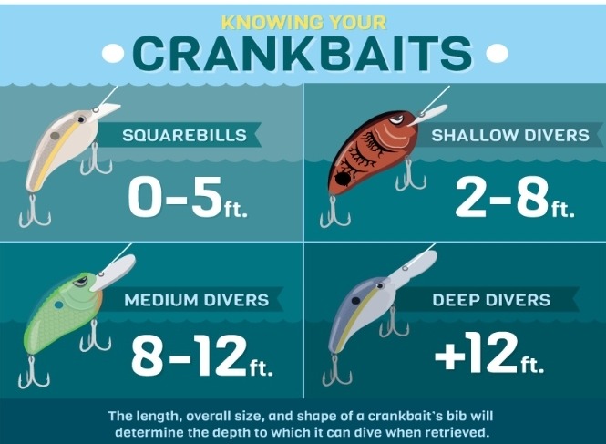 Crankbaits the difference between - Florida Bass Fishing Guides