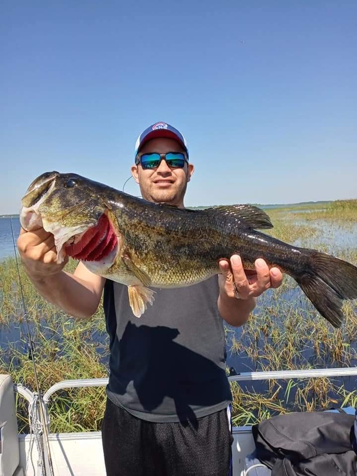 Bullrush Fishing Bass 