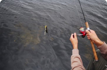 Florida Bass Fishing Guides | Shiner Fishing Technique Orlando